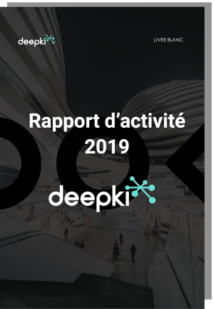 Rapport dactivité Deepki 2019